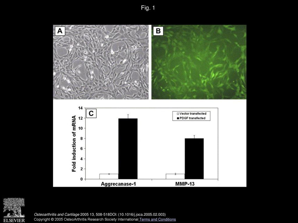 Integrative Genomic Analysis To Identify Mediators Of Beti Response