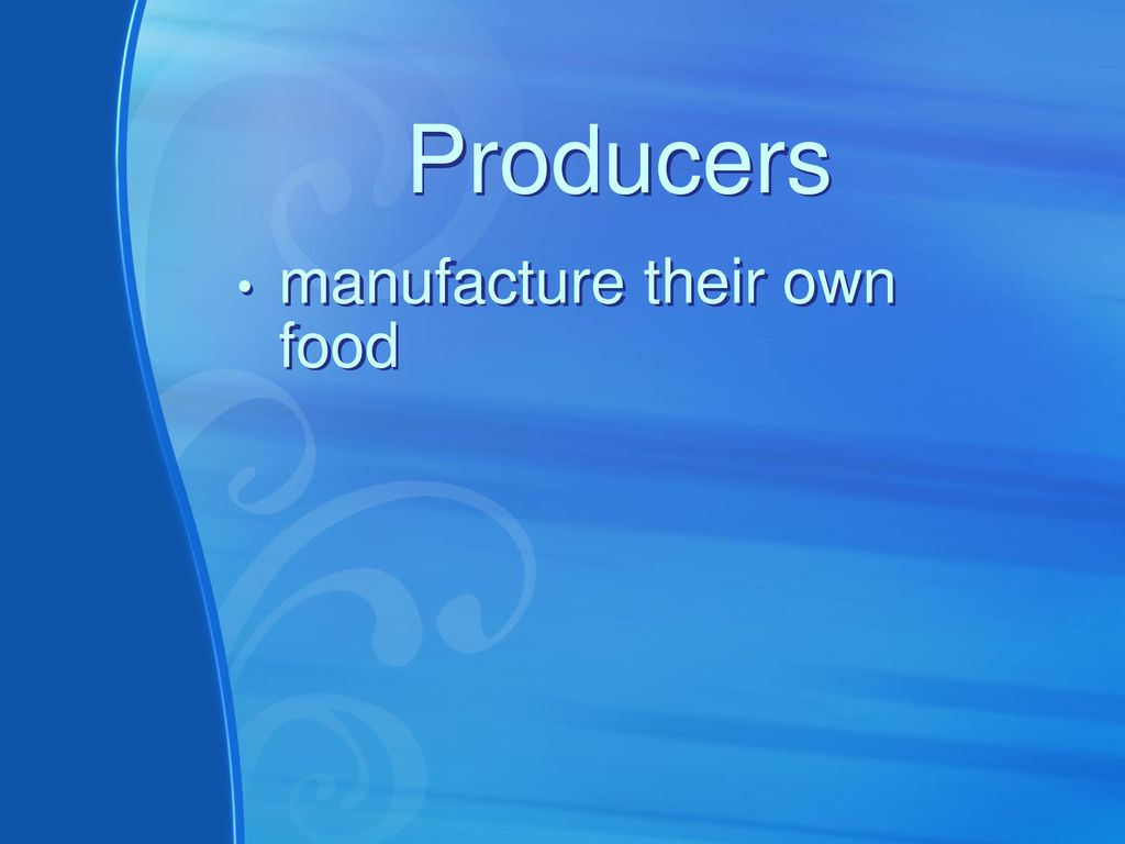 Producers manufacture their own food