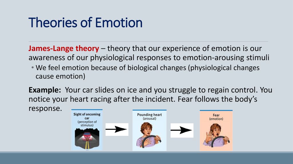 3 theories of emotion