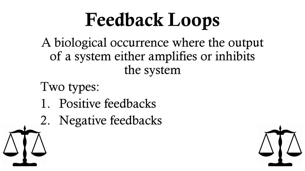 Homeostasis & Feedback Loops - ppt download