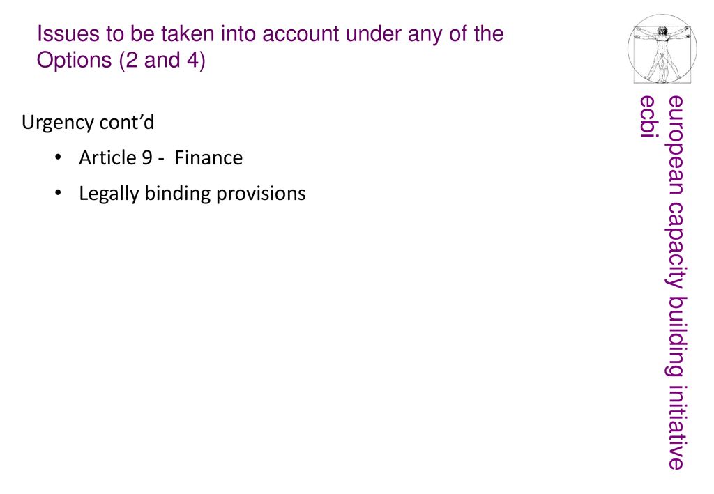 Issues to be taken into account under any of the Options (2 and 4)