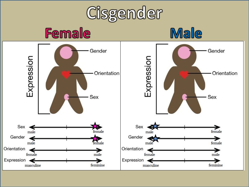 Sexual Orientation, Gender Identity And Aspergerautism The Asperger