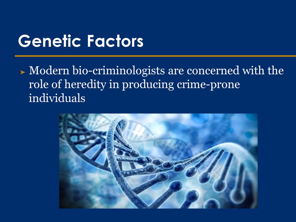 Genetic Factors Modern bio-criminologists are concerned with the role of heredity in producing crime-prone individuals.
