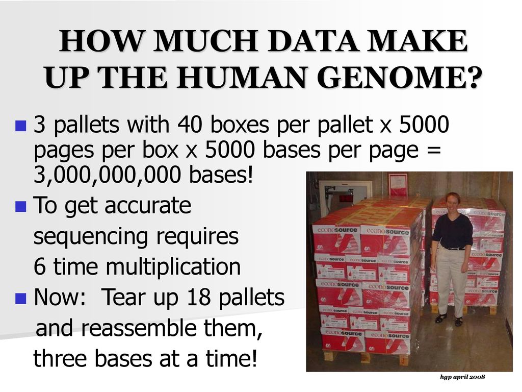 HOW MUCH DATA MAKE UP THE HUMAN GENOME