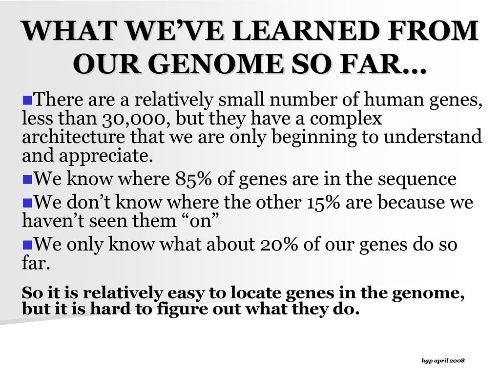 WHAT WE’VE LEARNED FROM OUR GENOME SO FAR…