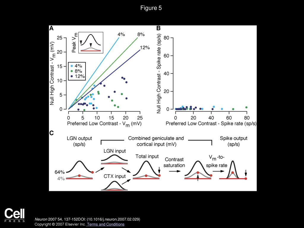 Figure 5 Lack of Spiking Responses to High-Contrast Stimuli of the Null Orientation.