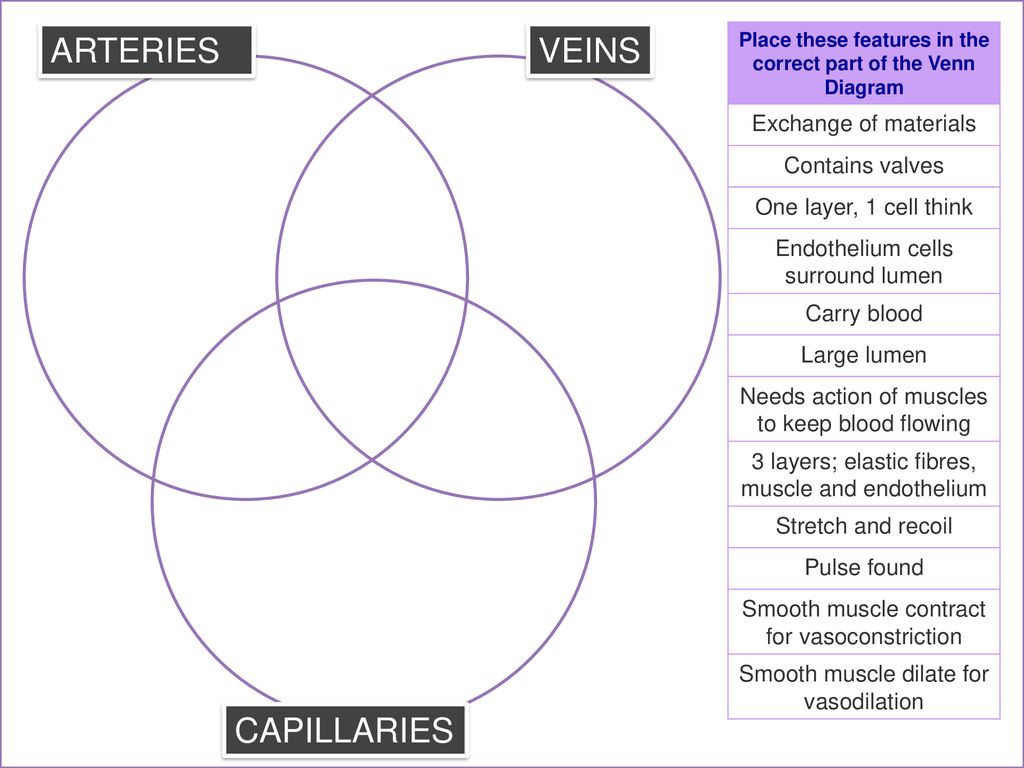 Cardiovascular System What Do You Know Already Ppt Download Cardiovascular System What Do You Know Already Ppt Download