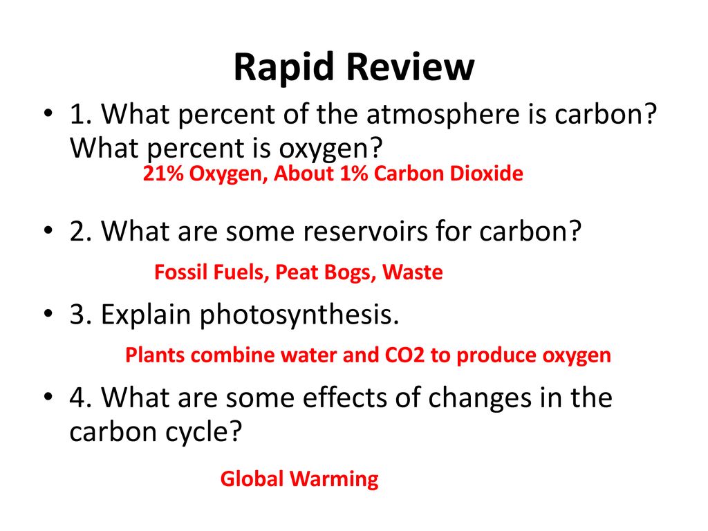 The nitrogen cycle mrs harper biology 3 28 ppt download