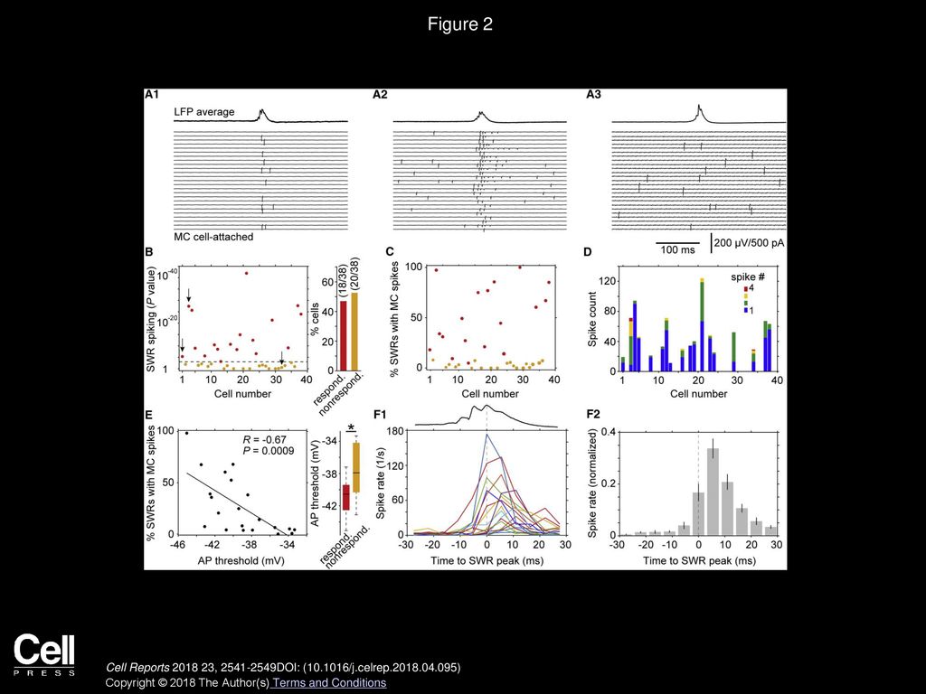Figure 2 Analysis of MC Activity during CA3 SWRs