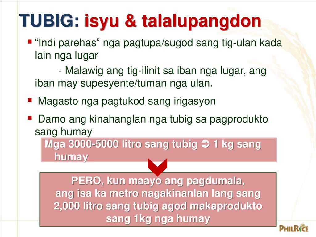 TUBIG: isyu & talalupangdon