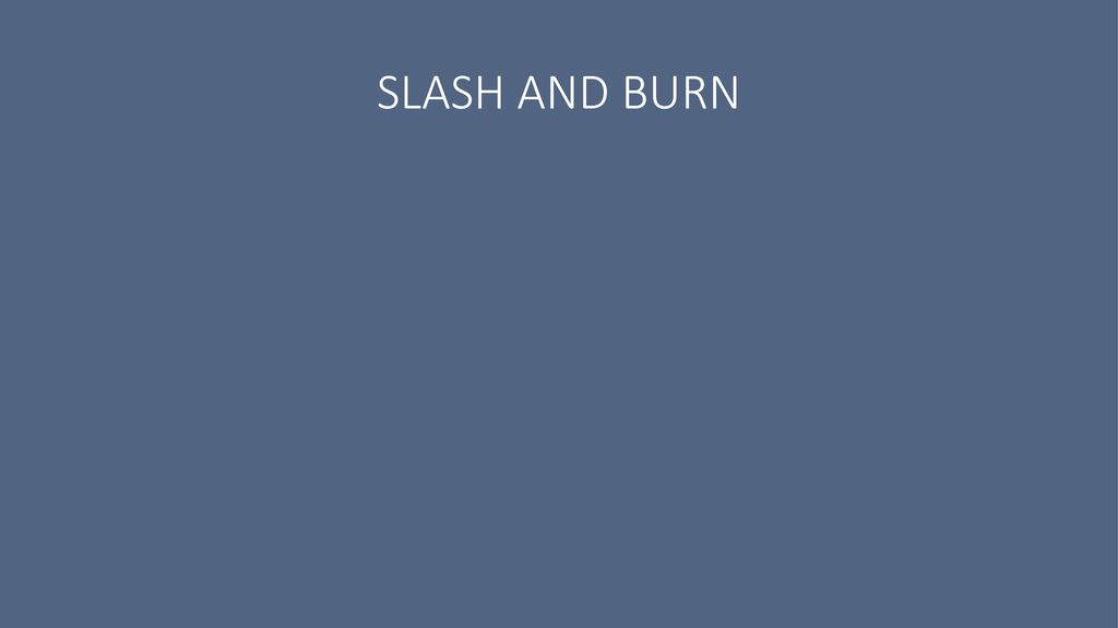 SLASH AND BURN
