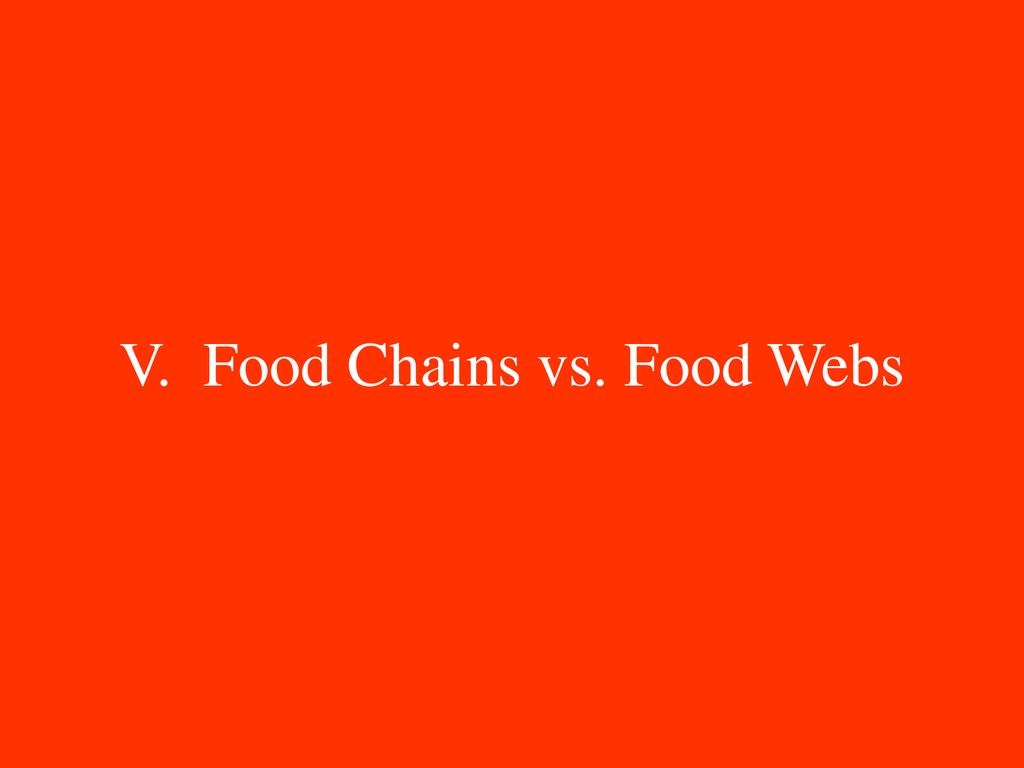 V Food Chains vs Food Webs Biology Diagrams