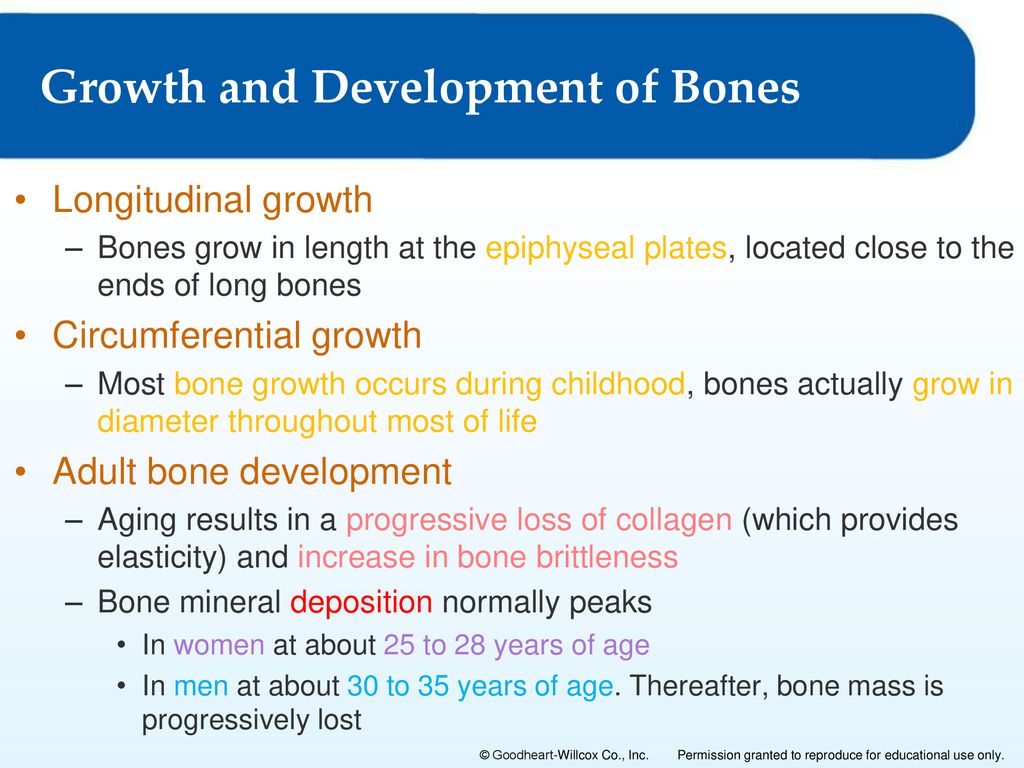Chapter 4: The Skeletal System Biology Diagrams