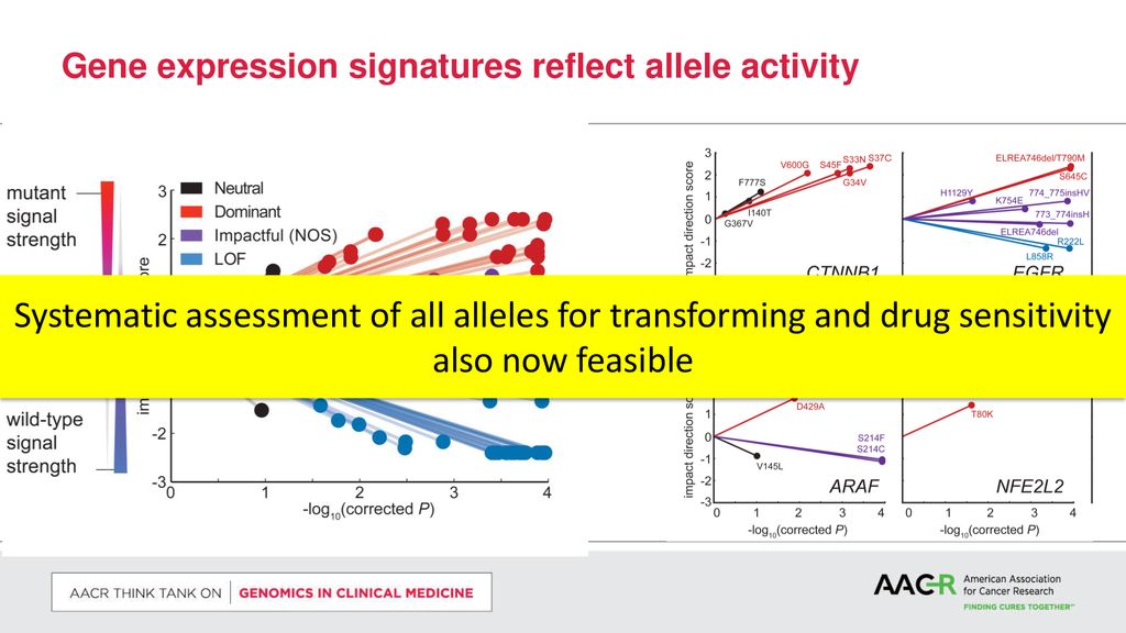 Gene expression signatures reflect allele activity