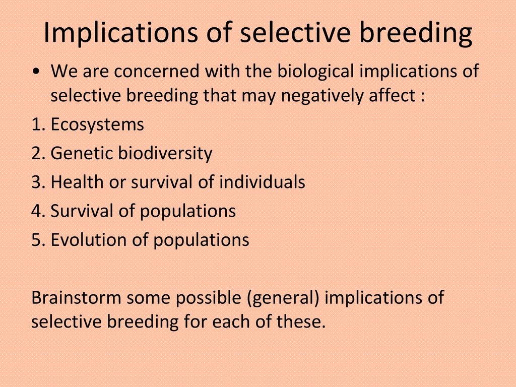 Selective Breeding. - ppt download