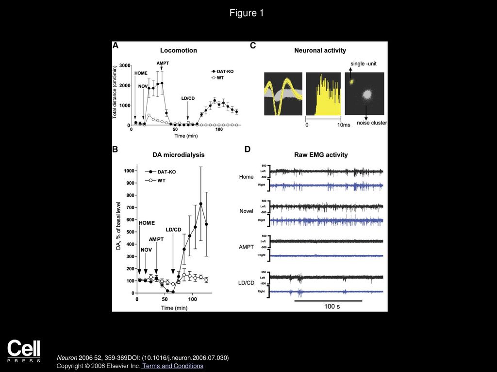 Figure 1 Neuronal and EMG Recordings during DA-Related Hyperkinesia and Akinesia in DAT-KO Mice.