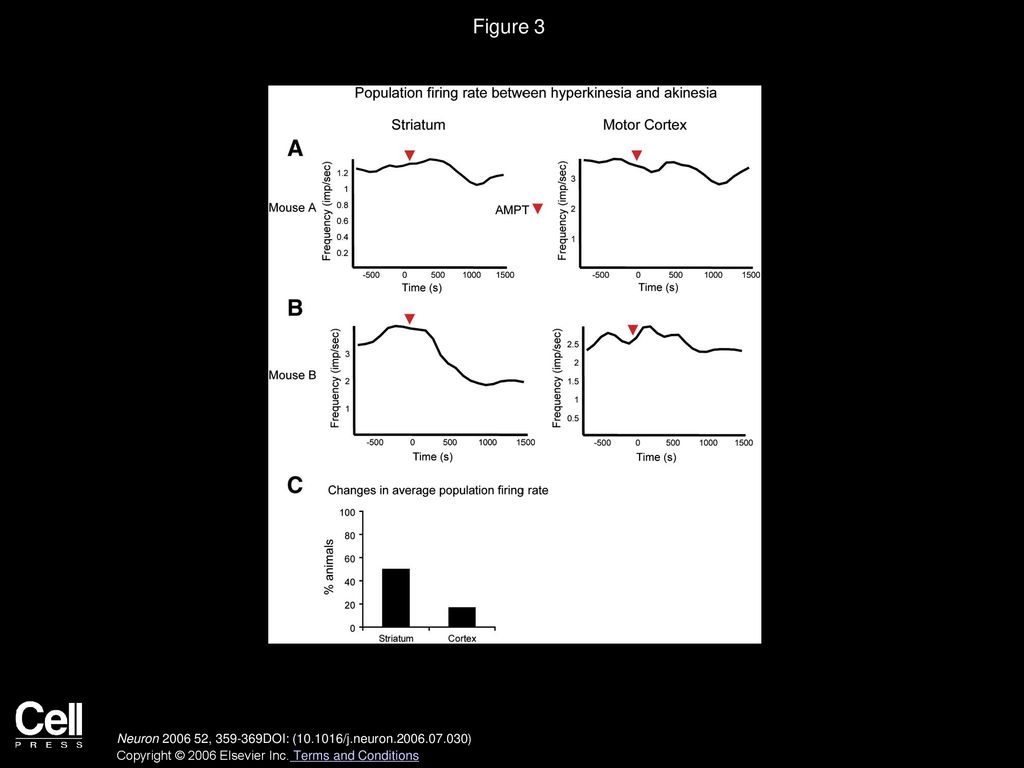 Figure 3 Neuronal Population Activity in Striatum and Motor Cortex during DA-Dependent Hyperkinesia and Akinesia.