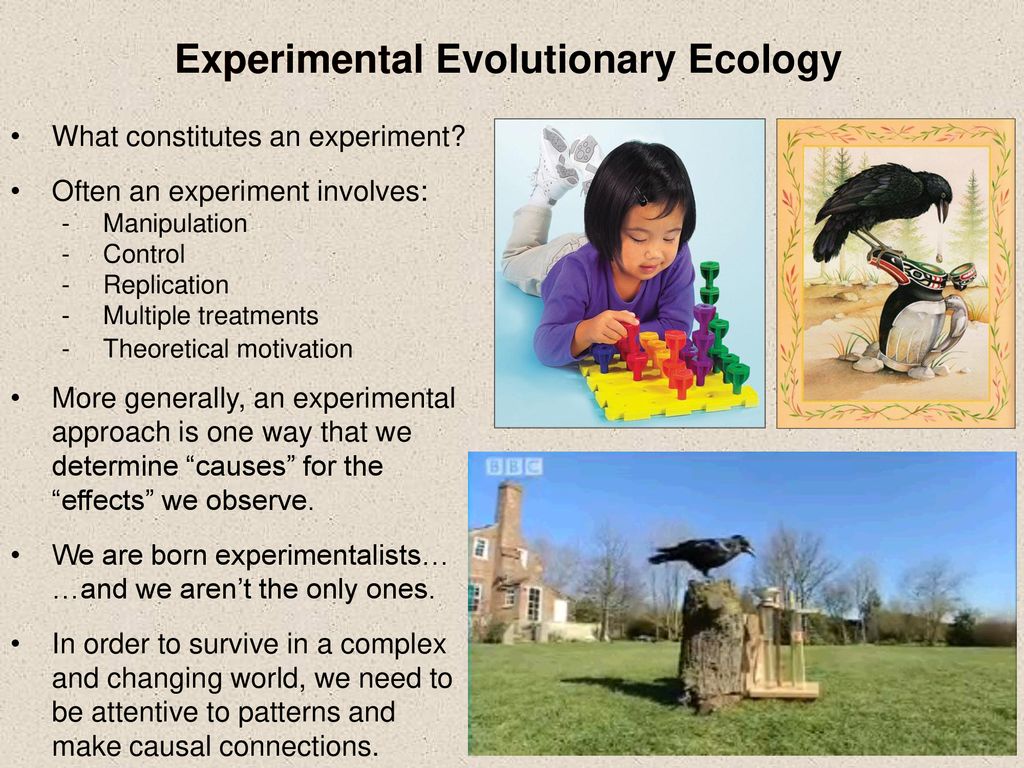 experimental ecology meaning