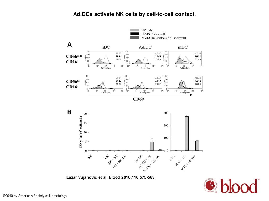 Ad.DCs activate NK cells by cell-to-cell contact.