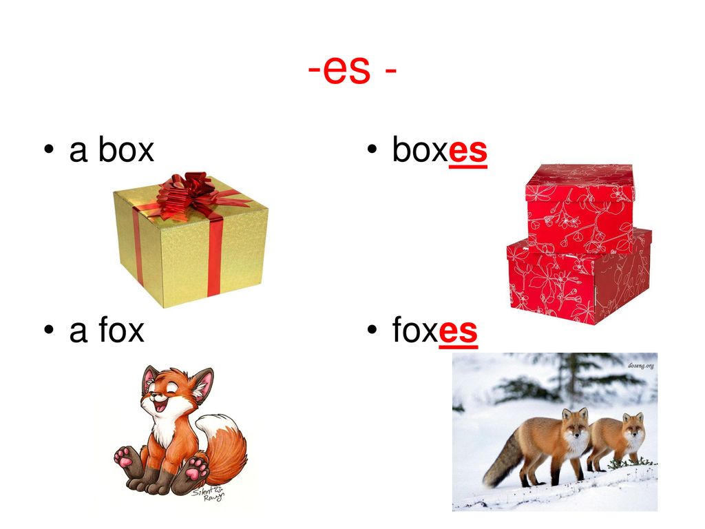 Коробке перевести на английский. Fox Foxes множественное число. Box Boxes множественное число. Box карточка на английском. Fox множественное множественное число Fox.