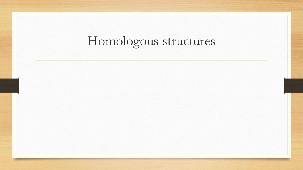 Homologous structures