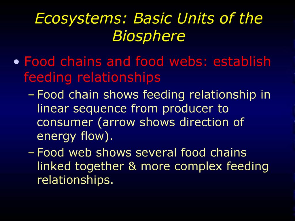 Fundamentals of Ecology Biology Diagrams