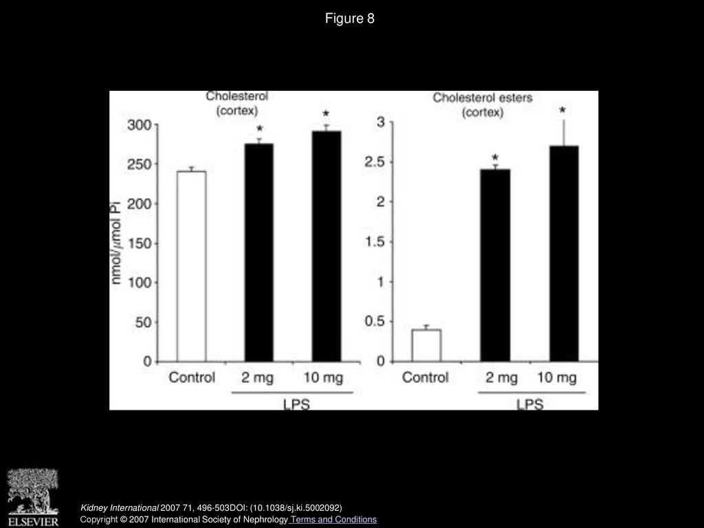 ‘Endotoxin tolerance’: TNF-α hyper-reactivity and tubular ...