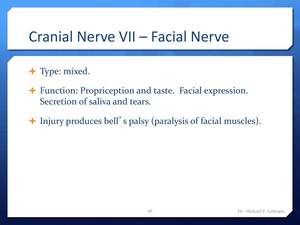 Brain & Cranial Nerves Dr. Michael P. Gillespie. - ppt download