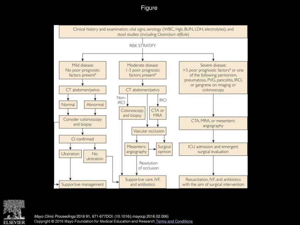 Colon ischemia mayo clinic proceedings ppt download