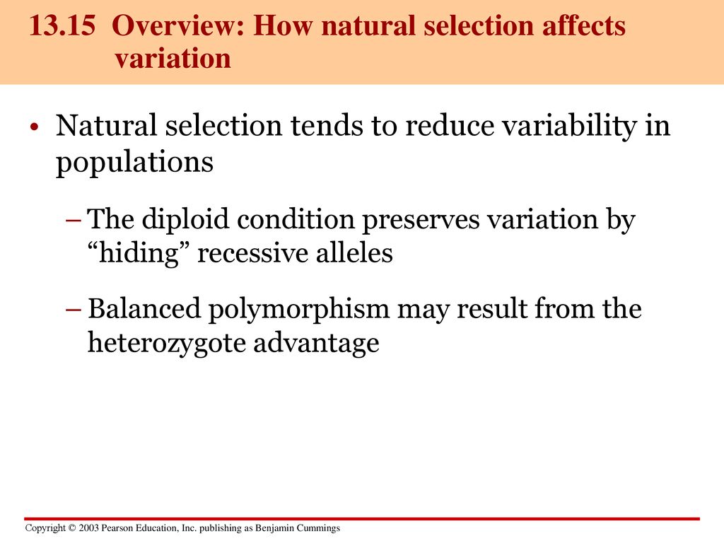 Chapter 13 how populations evolve ppt download