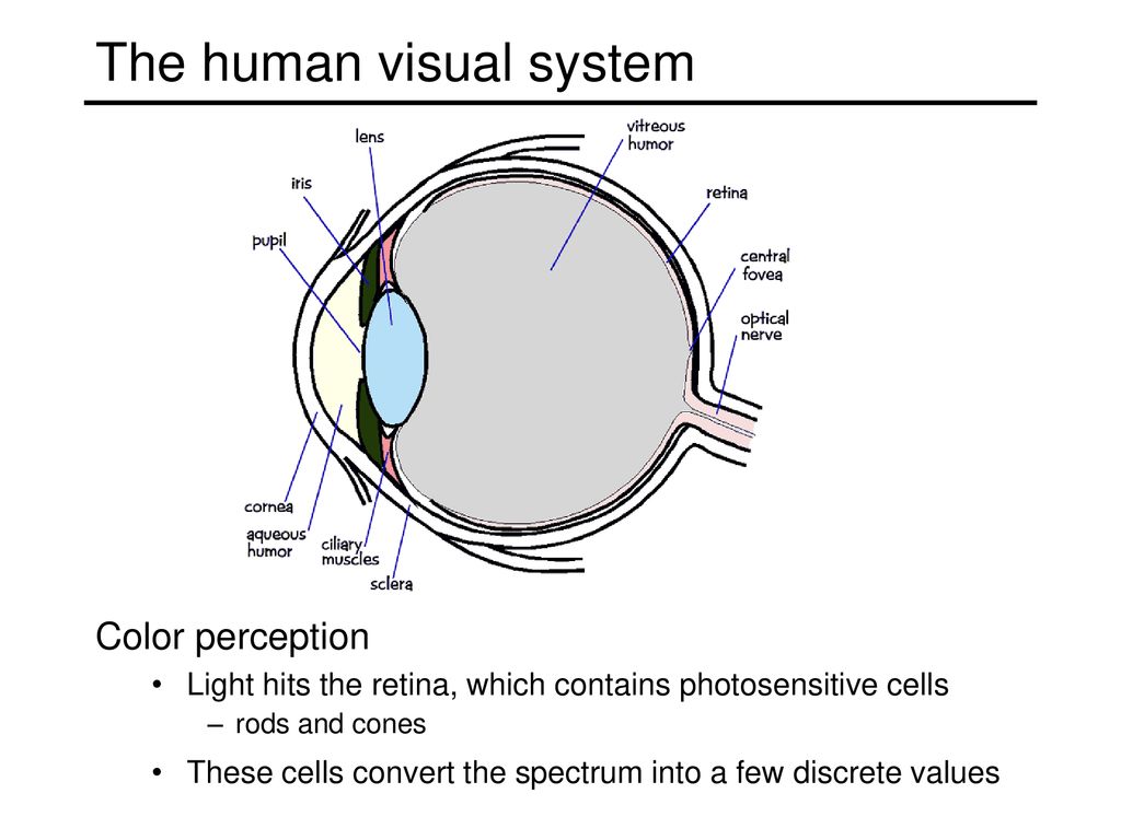 Announcements Midterm Project2 Project3 Biology Diagrams