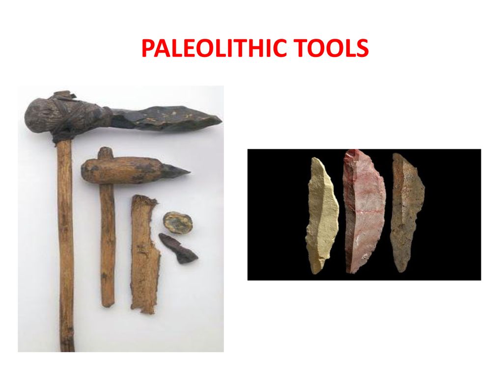 paleolithic tools