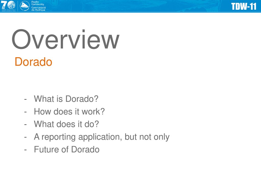 Overview Dorado What is Dorado How does it work What does it do