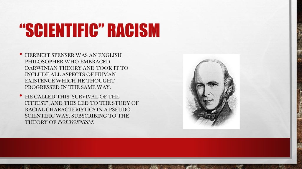 Social darwinism herbert spencer ppt download