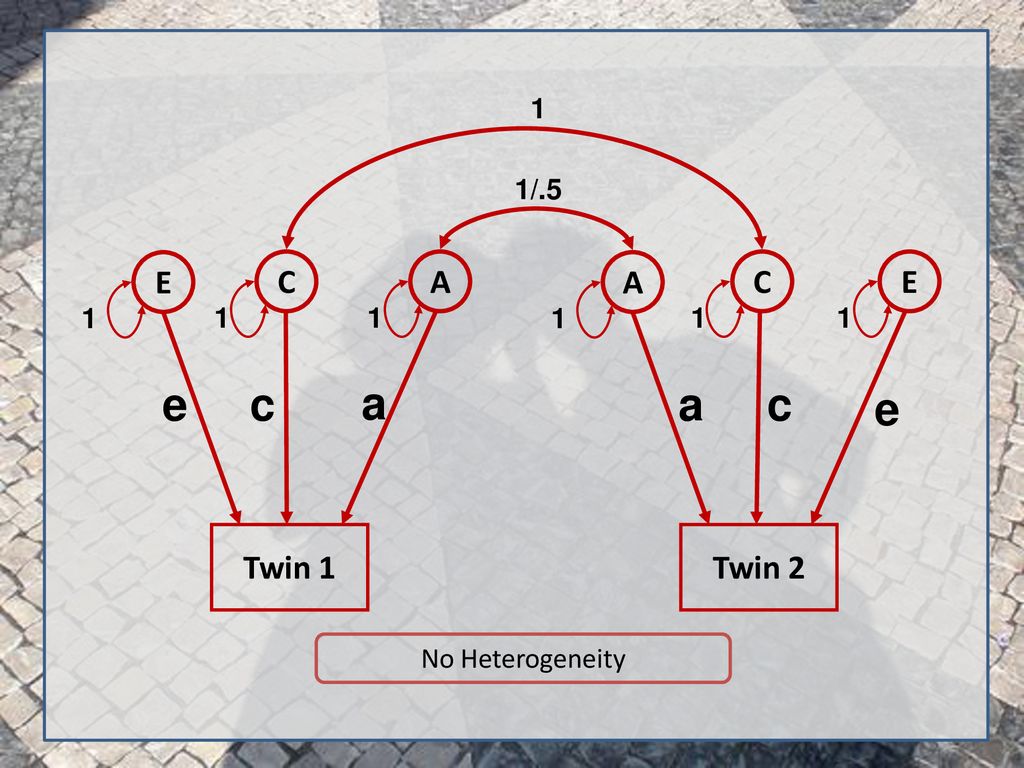 Twin 1 E C A 1 Twin 2 1/.5 e a c No Heterogeneity