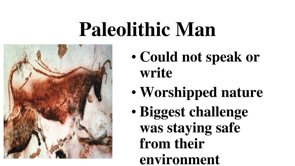 Paleolithic Man Could not speak or write Worshipped nature