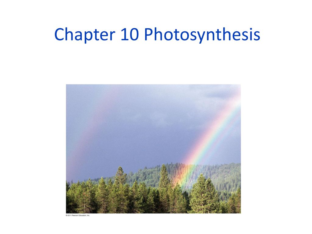 Chapter 10 Photosynthesis - Ppt Download