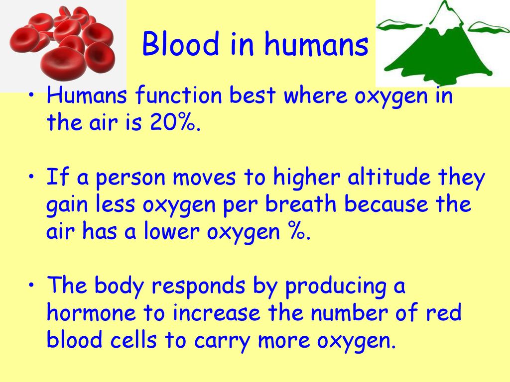 Key Area 2 3 Metabolic Rate Oxygen Delivery And Consumption Ppt