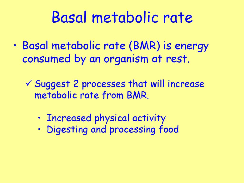 How to increase metabolic rate