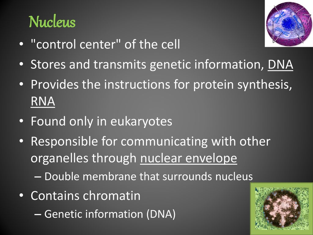 Cells Unit 3: Chapter ppt download