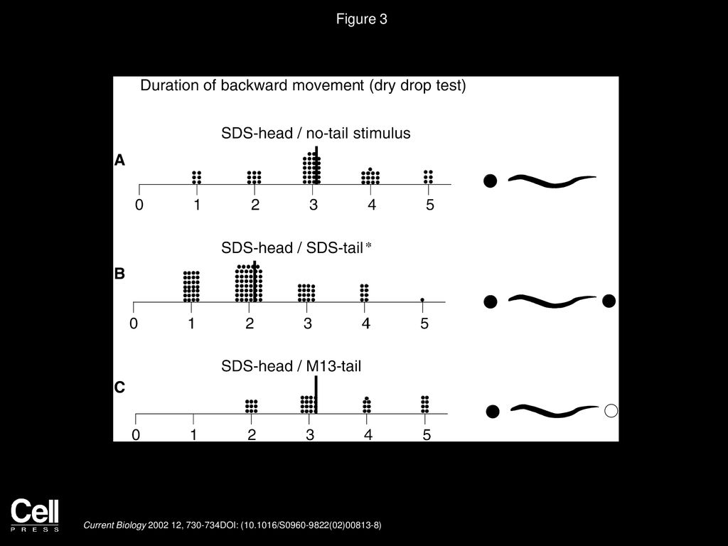 Figure 3 Dry Drop Stimuli Applied to Head and Tail Separately