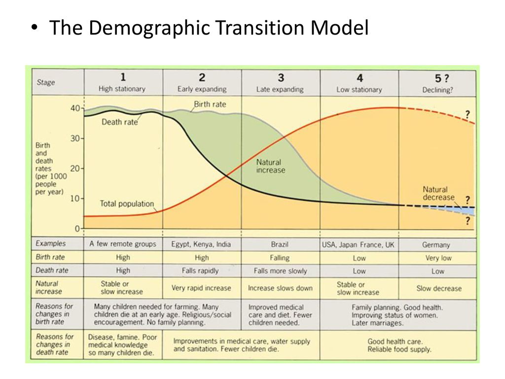 Chapter 7 The Human Population. - ppt download