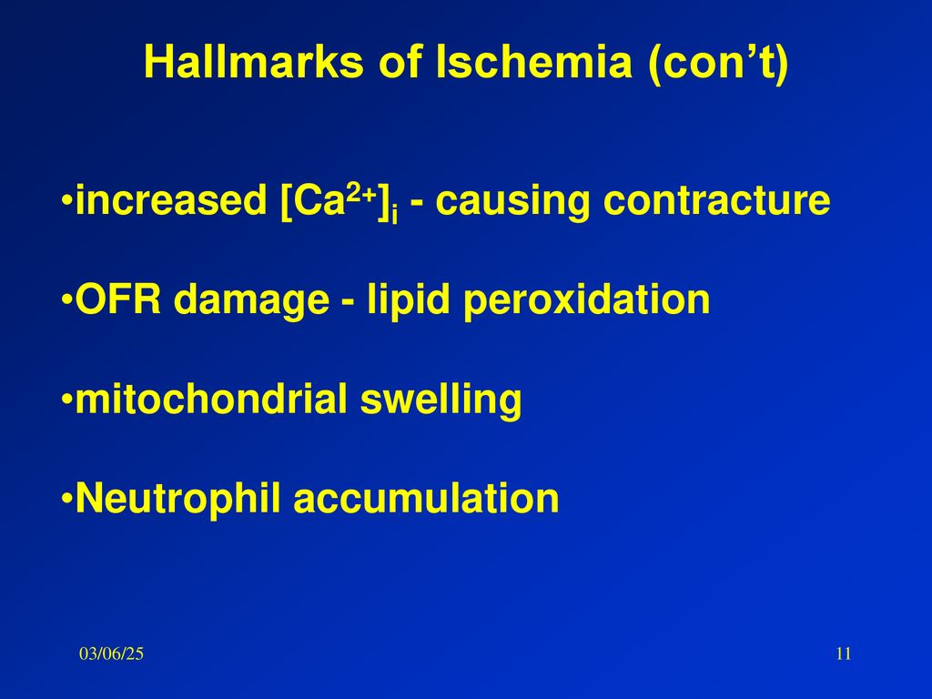 Hallmarks of Ischemia (con’t)