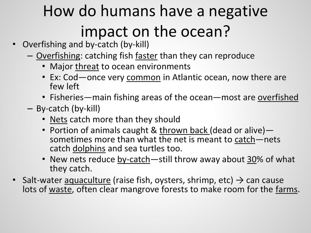 How do humans have a negative impact on the ocean
