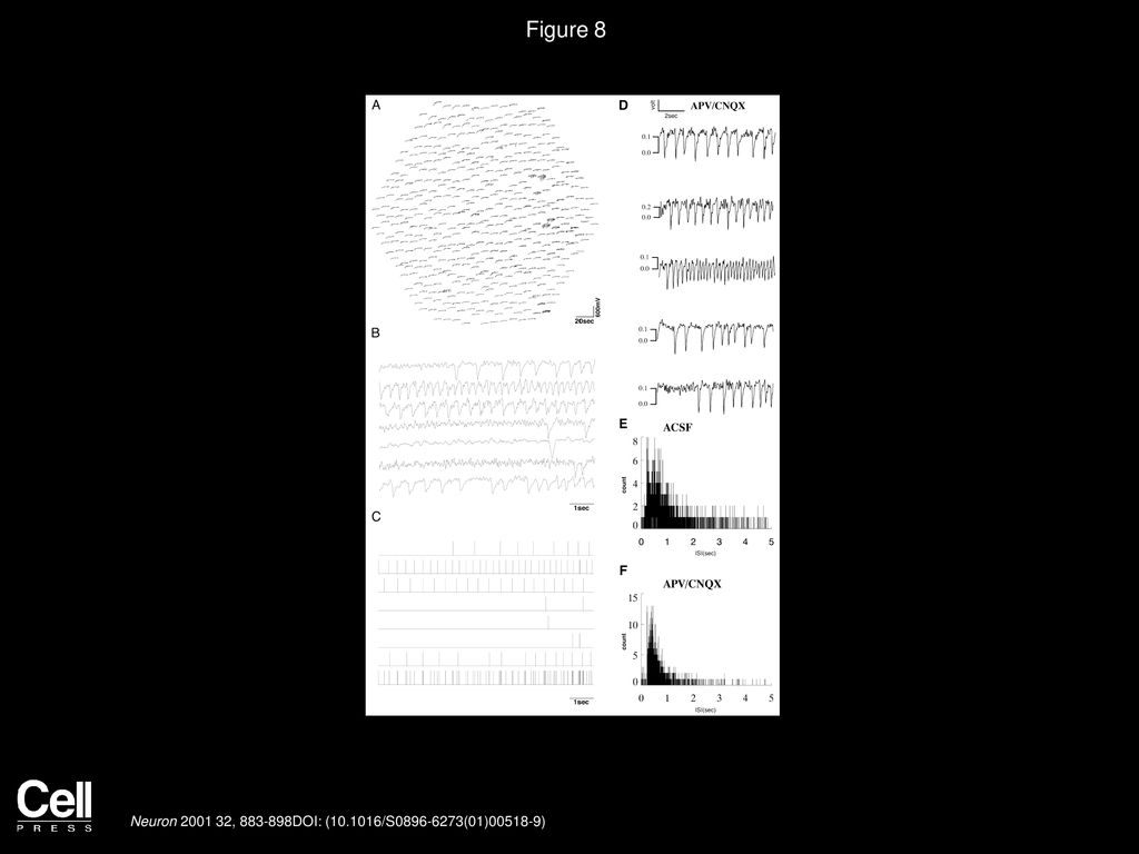 Figure 8 Imaging Spontaneous Activity in APV/CNQX