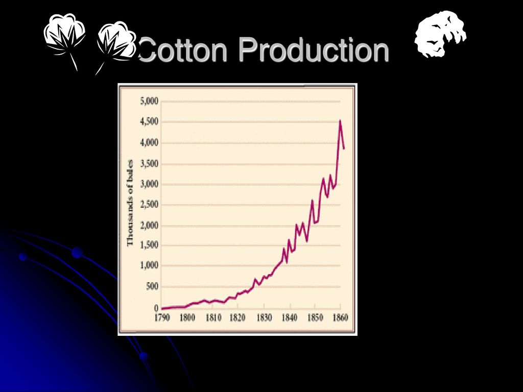 Cotton Production .
