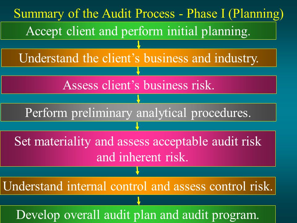 Summary of the Audit Process - Phase I (Planning)