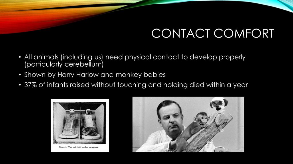 Contact comfort All animals (including us) need physical contact to develop properly (particularly cerebellum)