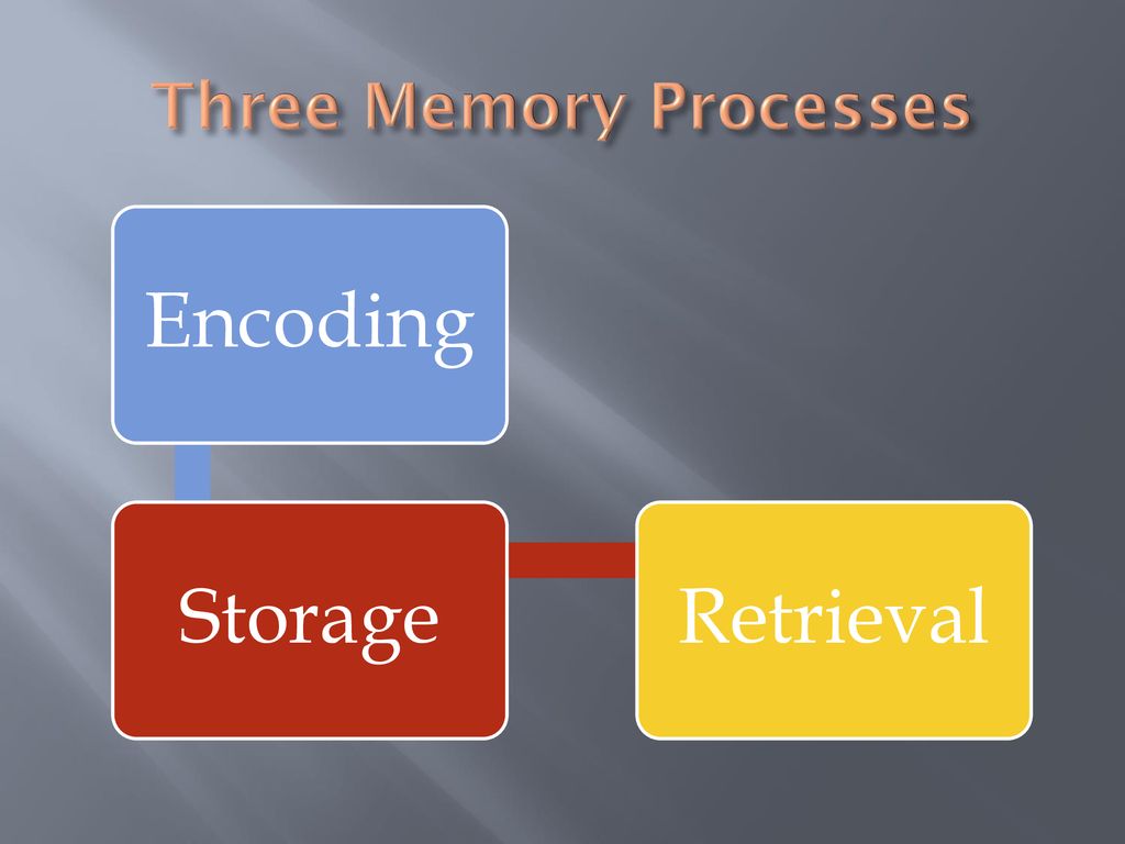 Cognition. - ppt download