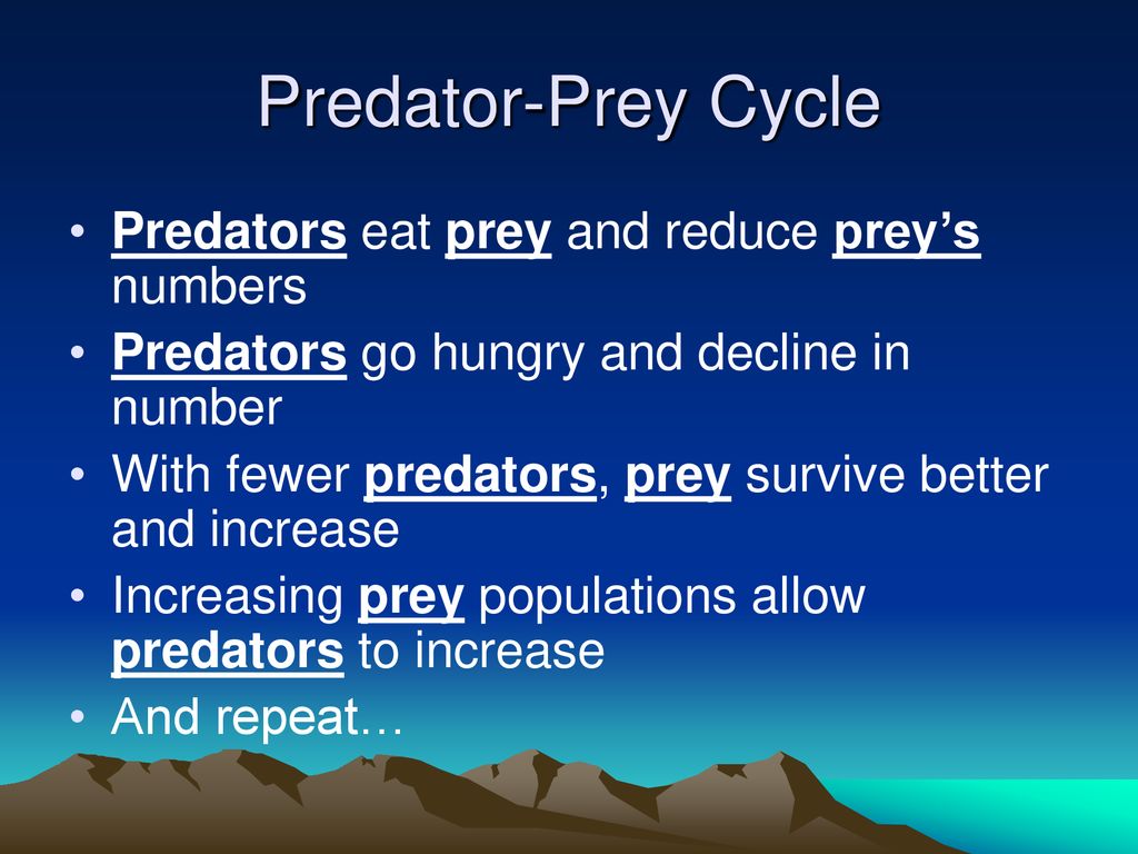 Predator-Prey Cycle Predators eat prey and reduce prey’s numbers